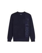 WE Fashion Sweatshirt  navy