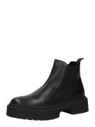 STEVE MADDEN Chelsea Boots 'Glennis'  sort