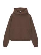 Pull&Bear Sweatshirt  mørkebrun