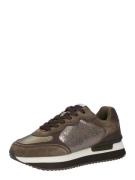 Pepe Jeans Sneaker low 'Rusper Stars'  brun / mørkebrun / bronze