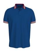 TOMMY HILFIGER Bluser & t-shirts  ensian / orange / carminrød / hvid