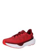 UNDER ARMOUR Løbesko 'Infinite Pro'  rød / lys rød