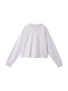 TOM TAILOR DENIM Sweatshirt  pastellilla