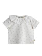 Milk & Muffin Bluser & t-shirts  grøn / offwhite