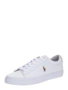 Polo Ralph Lauren Sneaker low 'Sayer'  blandingsfarvet / hvid