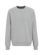 WE Fashion Sweatshirt  lysegrå