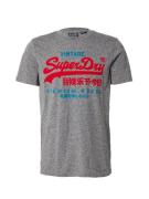 Superdry Bluser & t-shirts  azur / grå-meleret / rød