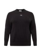 Calvin Klein Jeans Curve Pullover  mudderfarvet / lysegrå / sort