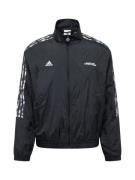 ADIDAS SPORTSWEAR Sportsjakke 'Pride Tiro'  mørkegrå / neonpink / sort...