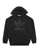 ADIDAS ORIGINALS Sweatshirt  antracit / sort