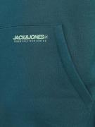 JACK & JONES Sweatshirt  grøn / mint