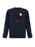 Williot Sweatshirt  ecru / navy / burgunder