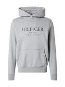 TOMMY HILFIGER Sweatshirt  marin / grå