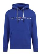 TOMMY HILFIGER Sweatshirt  ensian / rød / hvid