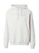 HOLLISTER Sweatshirt  grå-meleret / offwhite