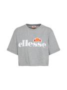 ELLESSE Shirts 'Alberta'  grå