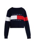 Tommy Jeans Pullover  navy / rød / hvid