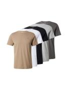 HOLLISTER Bluser & t-shirts  beige / mørkegrå / grå-meleret / sort / h...