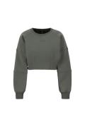 ALPHA INDUSTRIES Sweatshirt  oliven / mørkegrøn