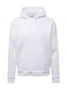 HOLLISTER Sweatshirt  hvid