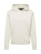 HOLLISTER Sweatshirt  lysebeige