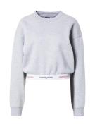 Tommy Jeans Sweatshirt  lysegrå / rød / hvid