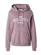 HOLLISTER Sweatshirt  lysviolet / hvid