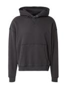 HOLLISTER Sweatshirt  sort