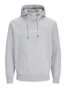 JACK & JONES Sweatshirt 'JJTree'  lysegrå / hvid