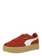 PUMA Sneaker low 'Palermo Elevata'  rød / hvid