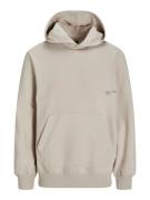 JACK & JONES Sweatshirt 'JCOIDUN'  taupe / rød / sort