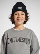 SOMETIME SOON Sweatshirt 'Winters'  grå / sort / hvid