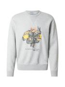 Polo Ralph Lauren Sweatshirt  gul / grå-meleret / khaki