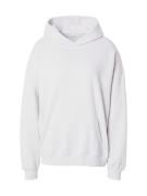 HOLLISTER Sweatshirt  grå