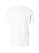 ARMANI EXCHANGE Bluser & t-shirts  sølv / offwhite