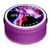 Kringle Candle Classic Spellbound Daylight