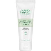 Mario Badescu Botanical Exfoliating Scrub  100 ml