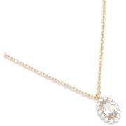 Lily and Rose Petite Moon necklace - Silvershade