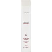 Lanza Healing ColorCare Clarifying Shampoo 300 ml