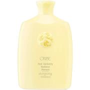 Oribe Hair Alchemy Resilience Shampoo 250 ml
