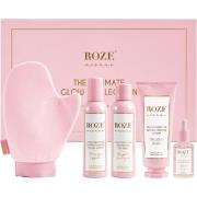 Roze Avenue Glow Collection Tan Box 580 stk