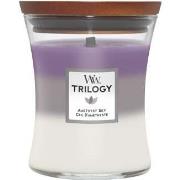 WoodWick Amesthist Sky Trilogy Jar Medium