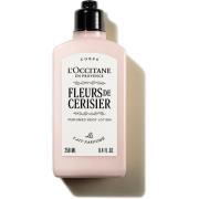 L'Occitane Fleurs De Cerisier (Cherry Blossom) Body Lotion 250 ml