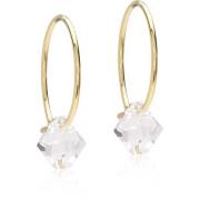 Blomdahl Golden Titanium Ear Ring 14 mm, Bicone 6 mm Crystal