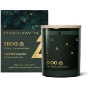 Skandinavisk SKOG Special Gold Edition Scented Candle 65 g