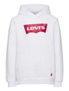 Levi's® Batwing Screenprint Hooded Pullover Levi's White