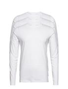 3Pk Basic Tee L/S Lindbergh White