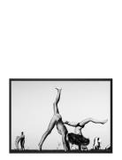 Poster Acrobatics Democratic Gallery Black