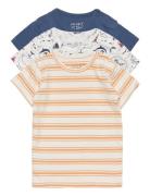 Asmo - T-Shirt 3Pack Hust & Claire Patterned