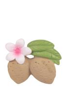 Aly The Almond OLI & CAROL Patterned